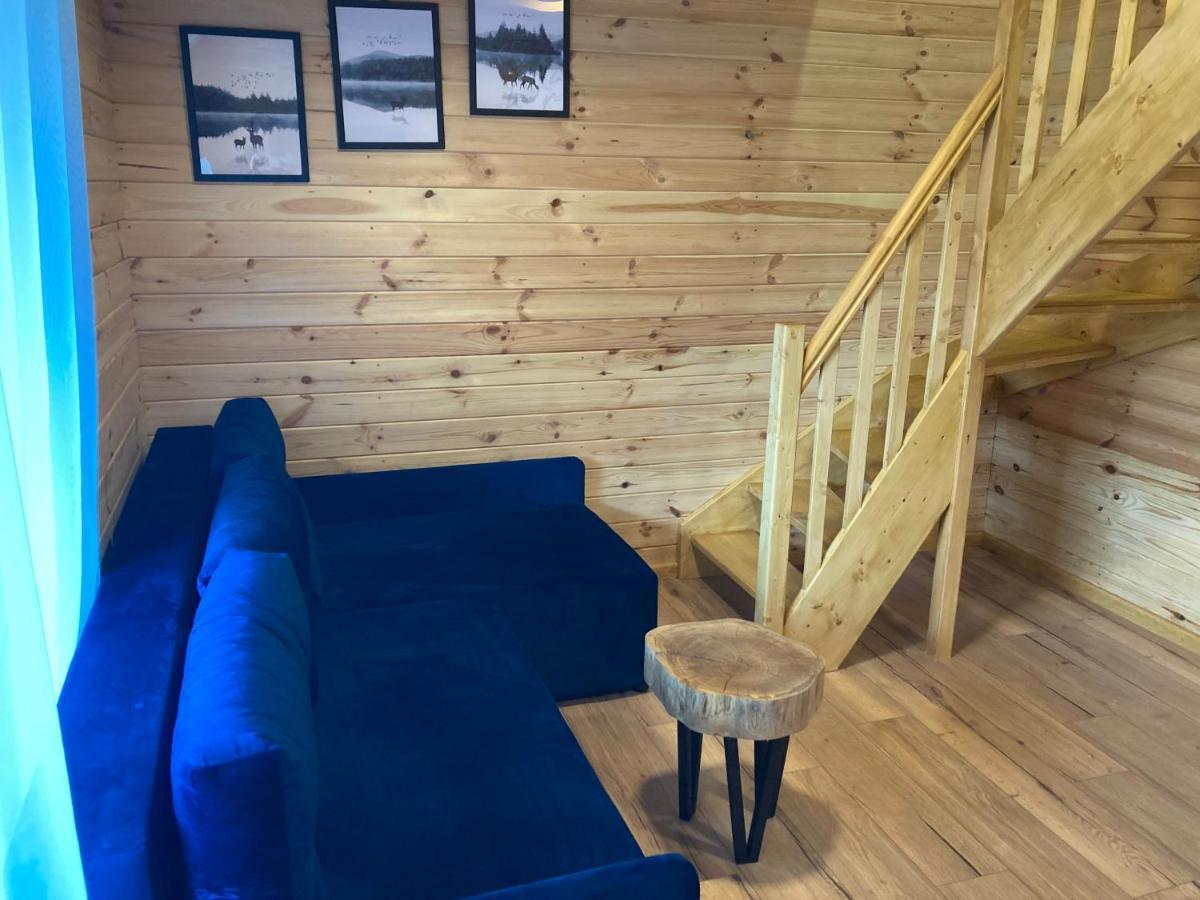 Domki nad jeziorem Apartamenty Wieleń Wieleń Zaobrzanski Zewnętrze zdjęcie